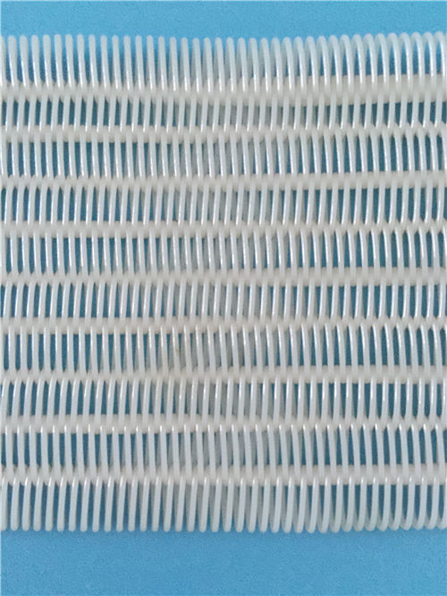 聚酯螺旋干網(wǎng).jpg 聚酯螺旋干網(wǎng).jpg